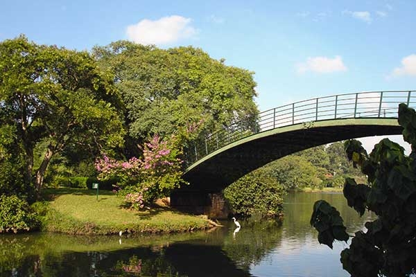 Imagem do parque Ibirapuera em São Paulo de dia