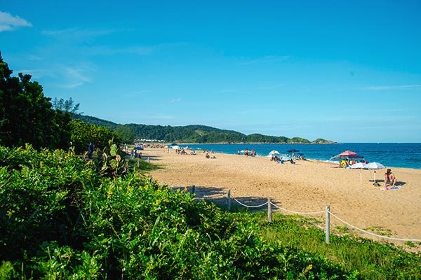 Imagem da praia do Estaleiro em Santa Catarina
