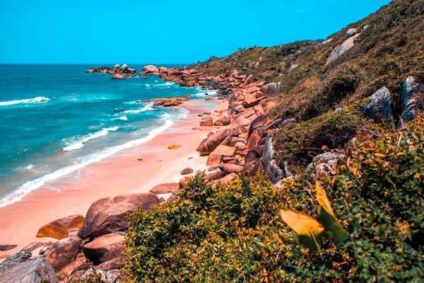 Imagem da praia da Galheta em Florianópolis