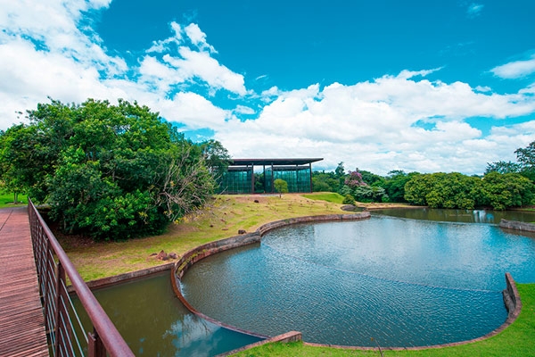 Imagem do Jardim Botânico de Londrina