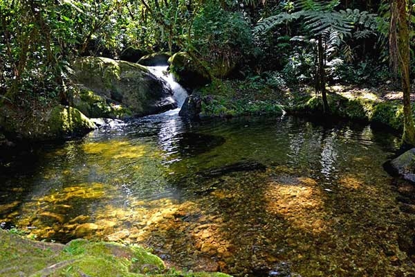 Imagem do Sítio Cachoeiras do Alcantilado