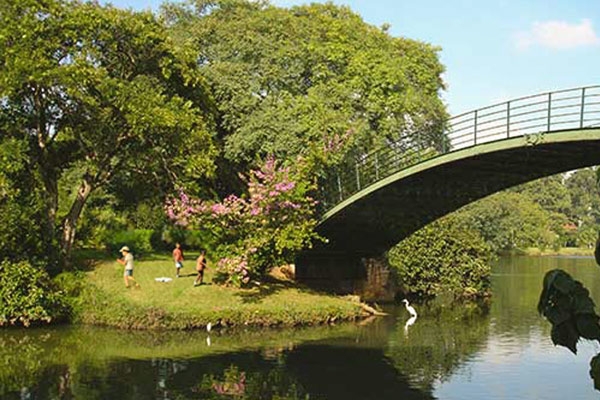 Dia ensolarado no parque Ibirapuera em São Paulo com pessoas aproveitando