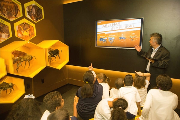 Palestrante mostrando abelhas para crianças no Museu do Inseto em São Paulo