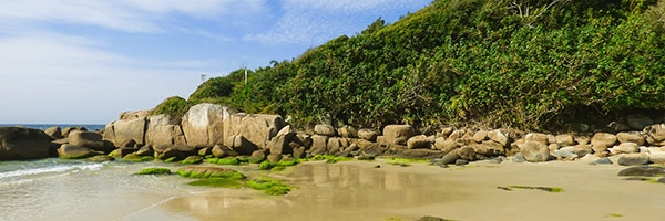 Imagem da praia de Saquinho em Floripa