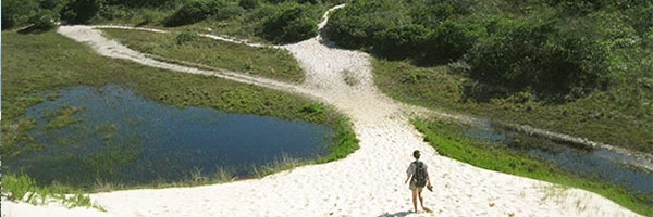 Imagem de turista fazendo trilha no morro dos Ingleses