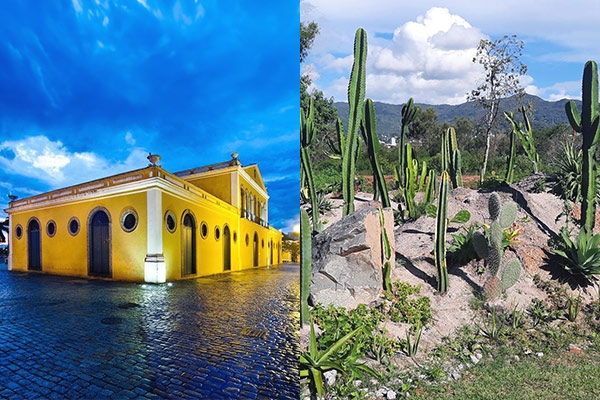 Casa da Alfândega e Jardim Botânico