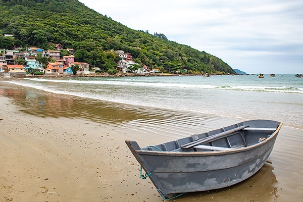 Imagem da praia do pântano do sul