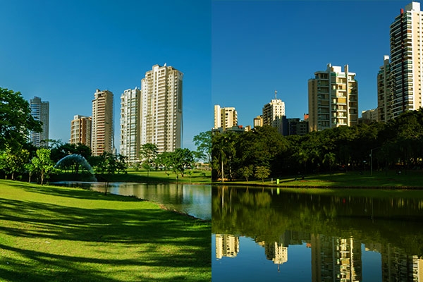 Parque Flamboyant e Parque Vaca Brava