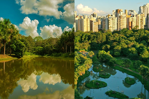  Bosque dos Buritis e Parque Areião 