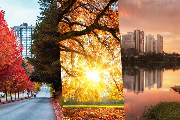Imagem de três paisagens de outono. Árvores, junto de suas folhas secas e um rio com prédios.