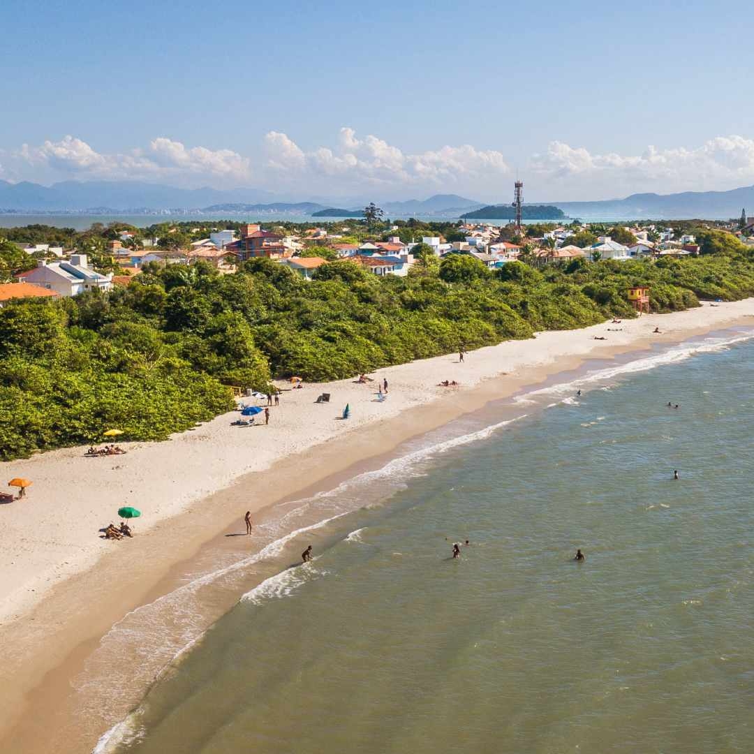 Foto da Praia da Daniela, em Florianópolis. Ao fundo, aparecem o céu azul e residências. À frente, uma área verde, algumas pessoas na areia e no mar.