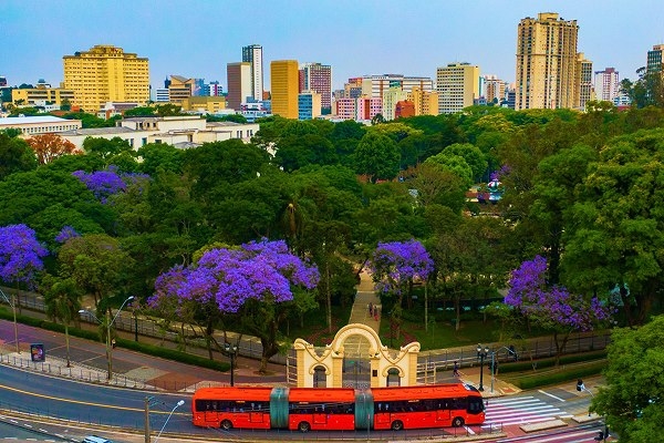 Fotos das cidades de São Paulo e Curitiba