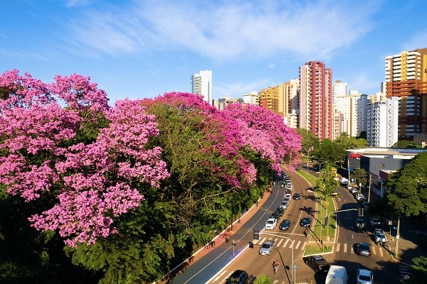 Fotos das cidades de São Paulo e Curitiba