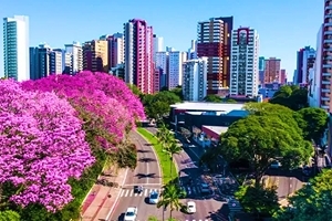 Fotos das cidades de São Paulo e Curitiba